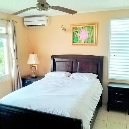 Ocho Rios 2 Bedroom Apartment/Flat Zewnętrze zdjęcie